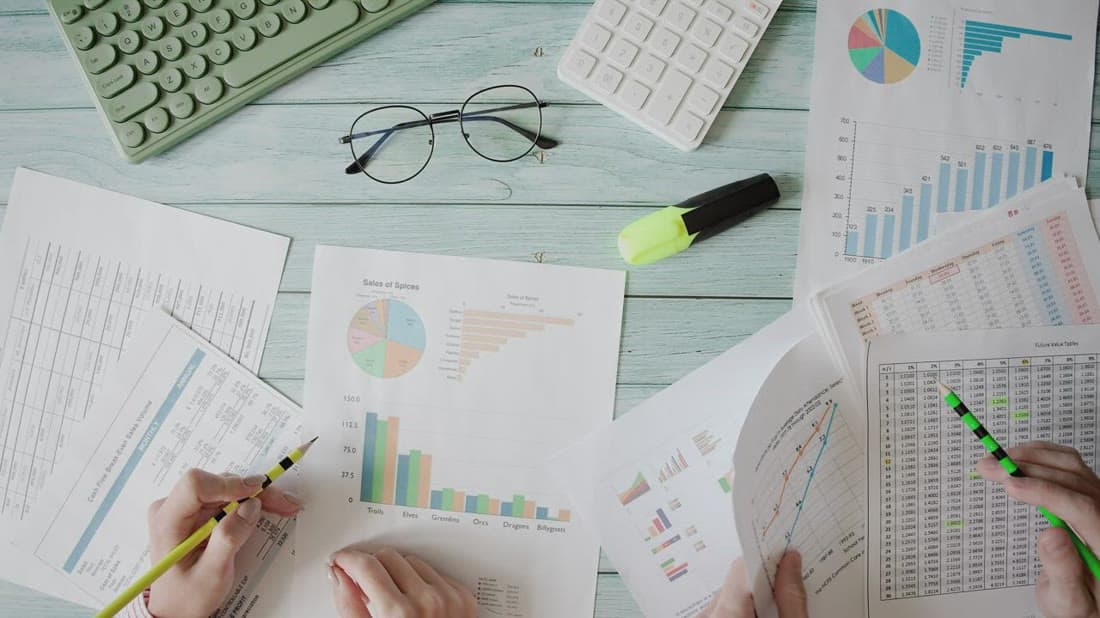 SEO analyst reviewing website traffic and keyword ranking reports
